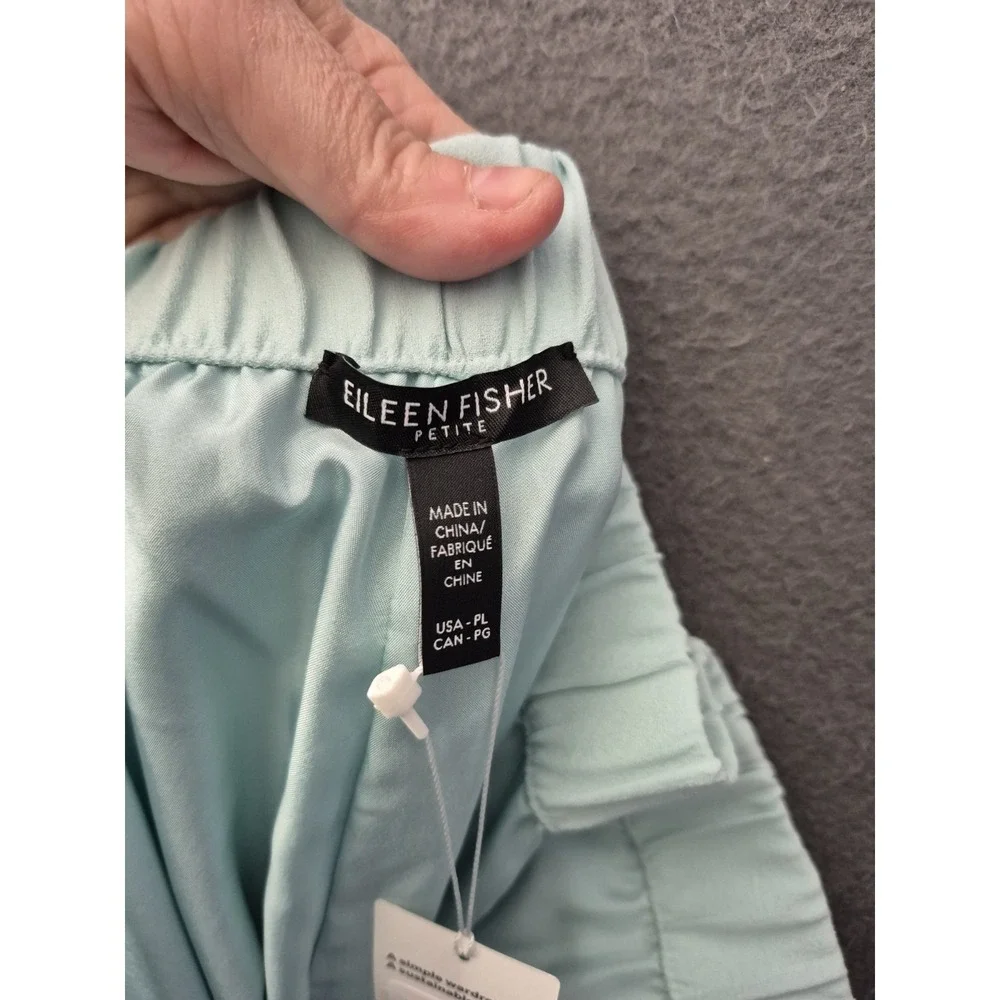 NWT Eileen Fisher Silk Georgette Crepe Wide Ankle Pant Pool LP $278 Quiet Luxury